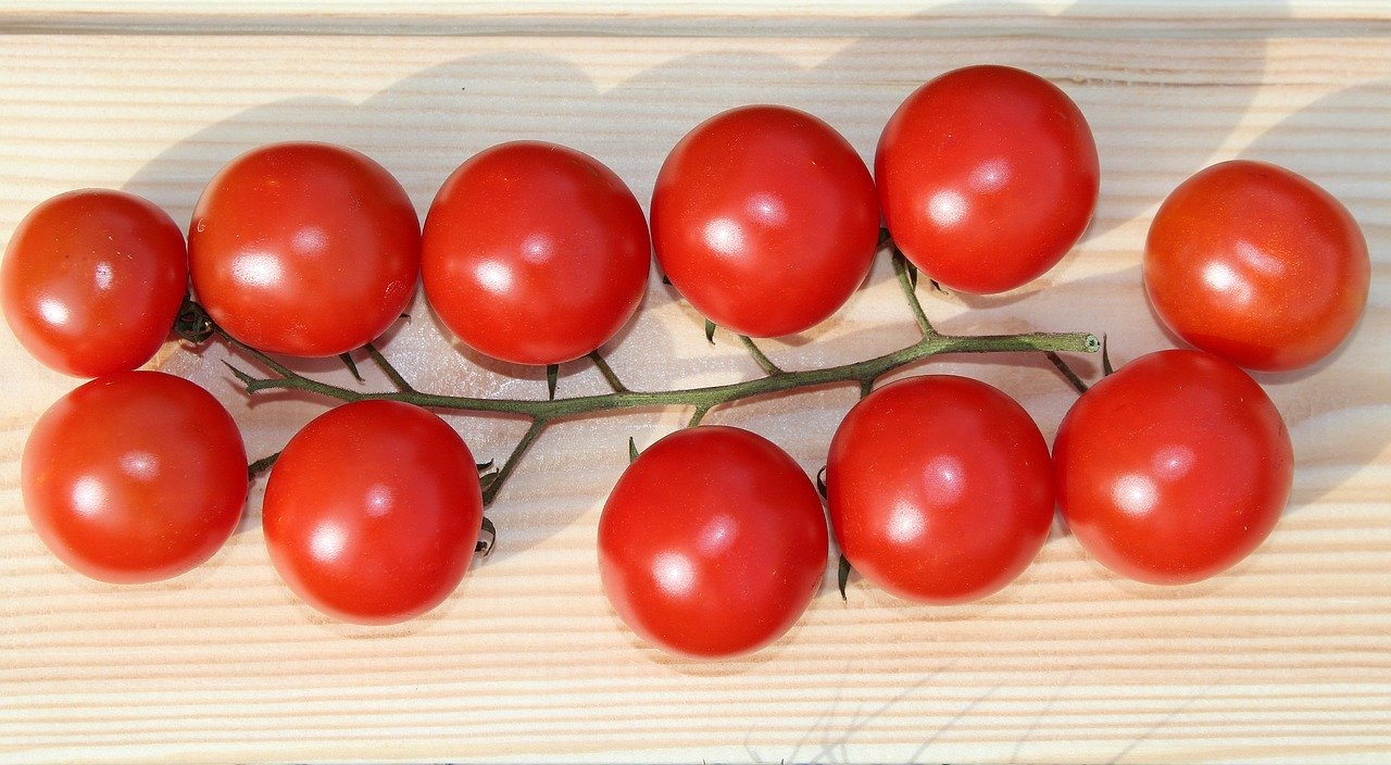 cherry tomato photo