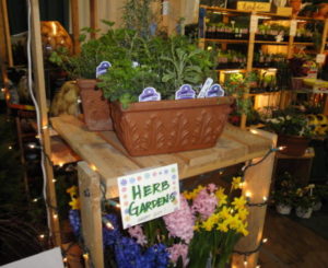 herb gardens and forced bulbs at the garden show