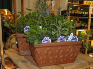 herb gardens, Maryland Home and Garden Show