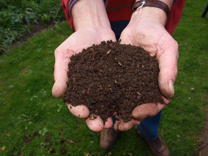 handful of compost