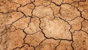 dry cracked soil