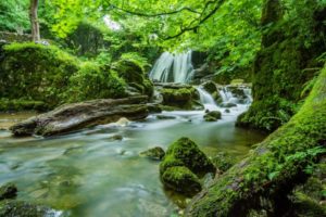 waterfall, stream, and greenery