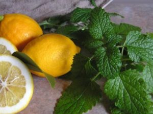 lemons and lemon balm