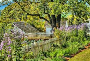 fenced garden with many niches for pollinators