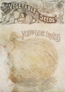 antique seed packet