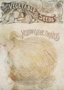 antique seed packet