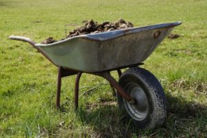wheelbarrow with compost to prepare the soil