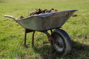 wheelbarrow with compost to prepare the soil