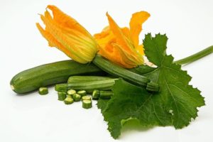 zucchini with yellow flowers