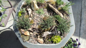 bird bath mini garden