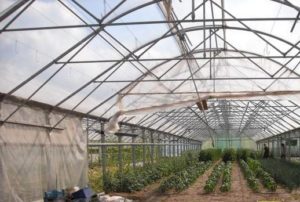 greenhouse frame
