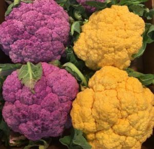 purple and orange broccoli