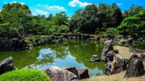 water garden