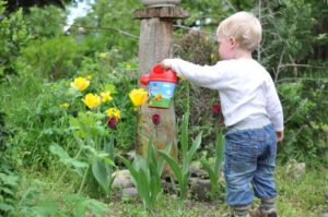 child watering tulips