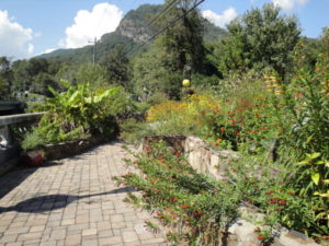 path through the garden, lake lure