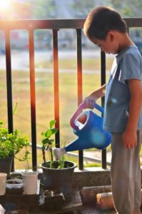 child watering a plant