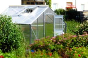 greenhouse for cool season vegetables