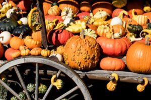pumpkins and gourds welcome trick-or-treaters