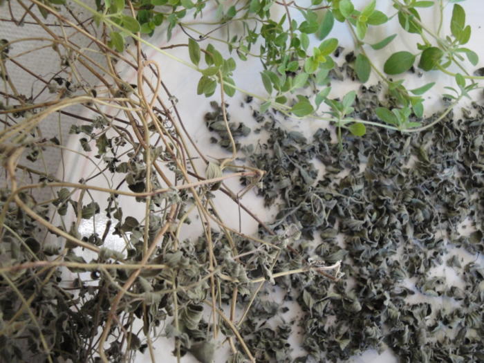 dried oregano