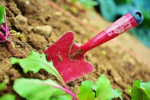 trowel in soil