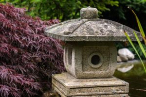 burgundy fall color, Japanese maple with lantern