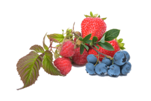 blueberry, raspberry, strawberry photo