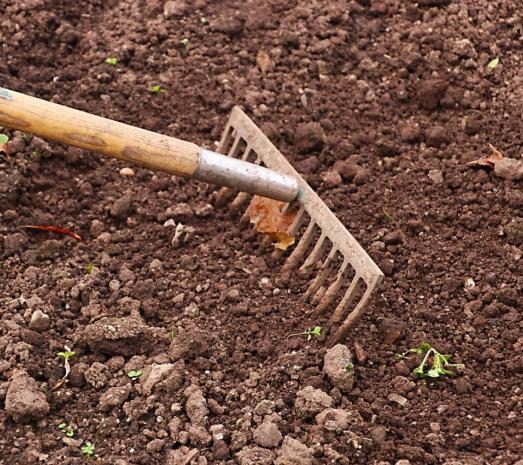 garden rake, prepared soil