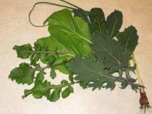 cool season greens for omelet