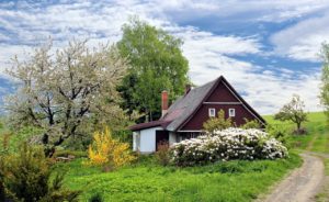 spring landscape