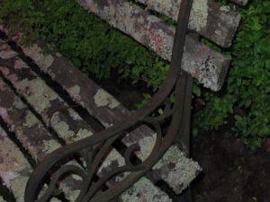 old bench, garden show