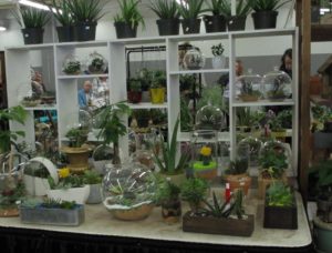 Oakdale greenhouse at garden show