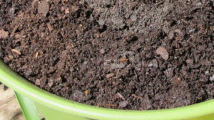 Potting soil