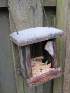 snow, bird feeder