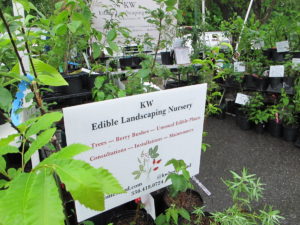 KW Edible Landscaping Nursery at the garden show