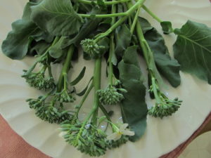 broccoli happy rich, delicious fall greens