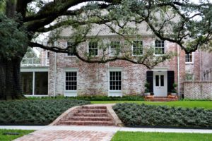 House, tree in front