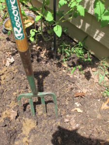 garden fork