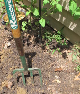 garden fork