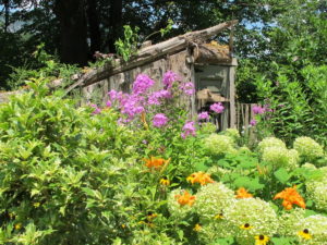 wood screen, plants