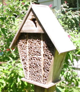 bamboo "straws" for bees and other pollinators