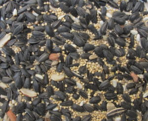 birdseed mix