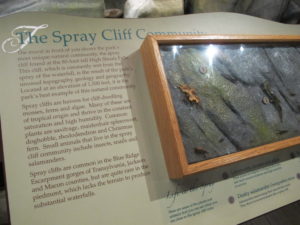 spray cliff environment sign