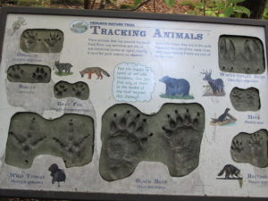animal tracks sign