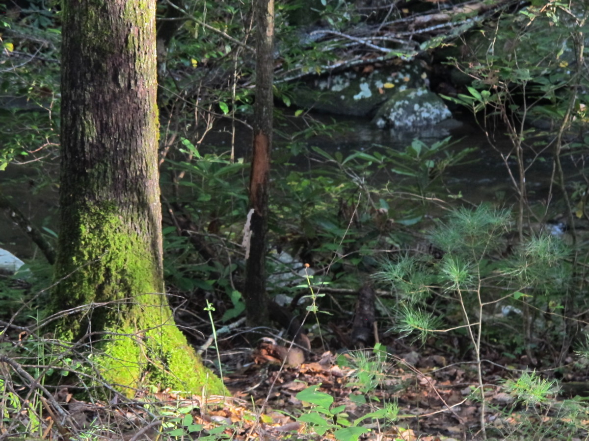 south mountains state park