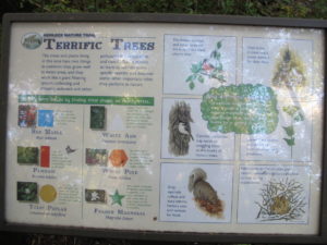 tree signs, south mountains state park