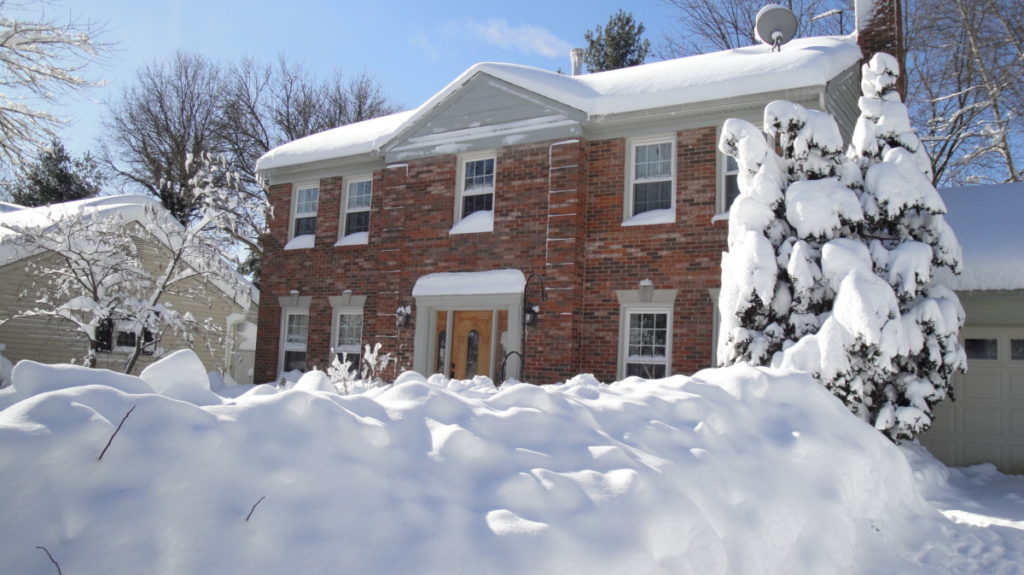 trees in the snow, my house in Maryland