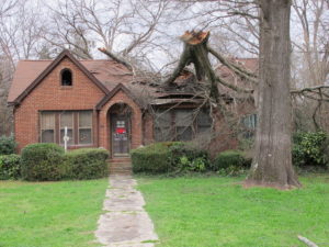 tree fell on house roof, tornado