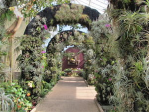 Daniel Stowe Botanical Garden, air plants