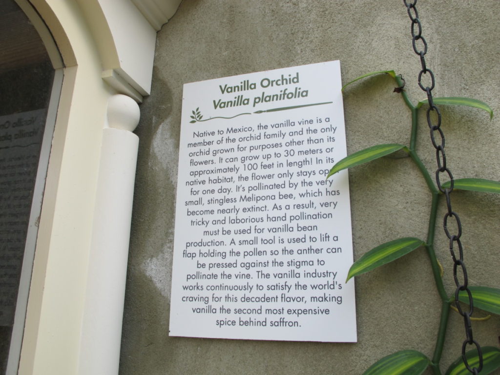 sign about vanilla orchid
