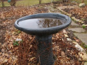 bird bath